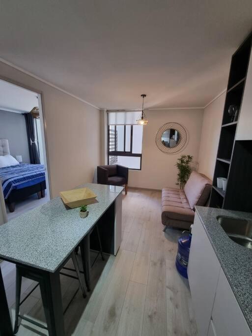 Apartamento Hermoso Y Comodo Departamento Santiago